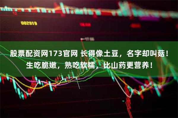 股票配资网173官网 长得像土豆，名字却叫菇！生吃脆嫩，熟吃软糯，比山药更营养！