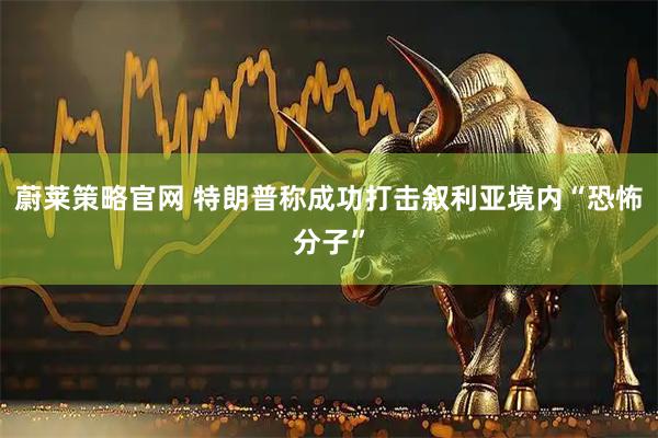 蔚莱策略官网 特朗普称成功打击叙利亚境内“恐怖分子”