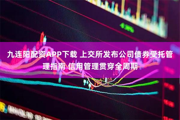 九连阳配资APP下载 上交所发布公司债券受托管理指南 信用管理贯穿全周期