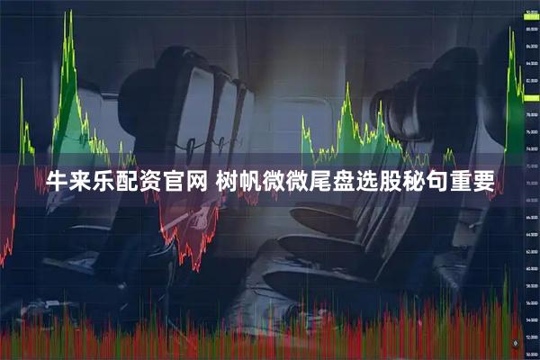 牛来乐配资官网 树帆微微尾盘选股秘句重要